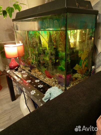 Аквариум в комплекте на 120 литров