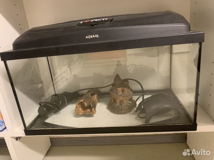 Аквариум