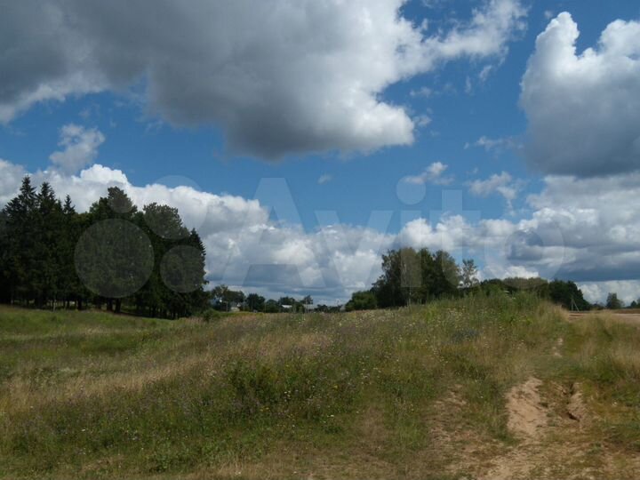 Участок 25 га (ИЖС)