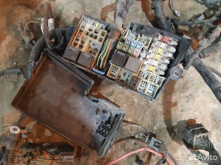 Проводка моторная Ford Focus 2