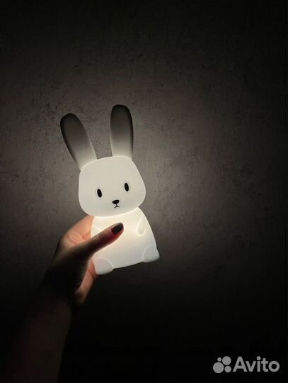Заяц ночник