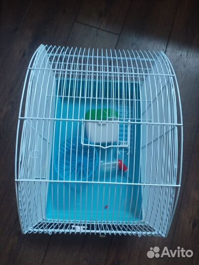 Клетка для грызунов большая