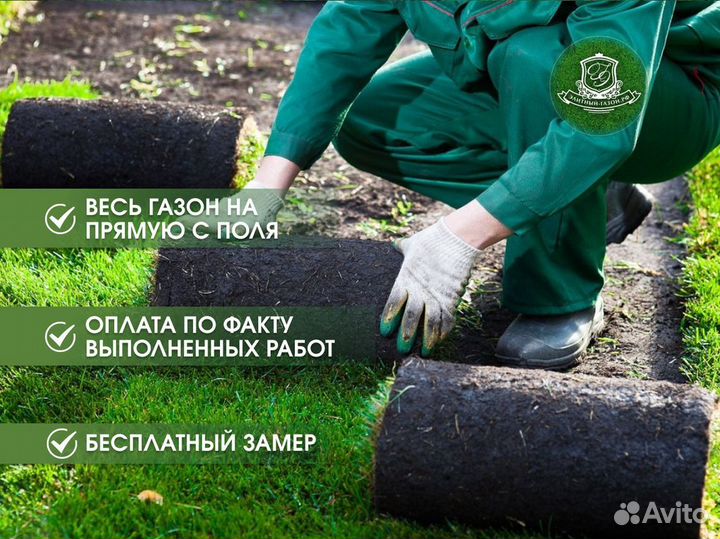 Газон рулонный с укладкой