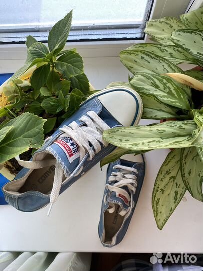 Кеды converse 36-37 размер