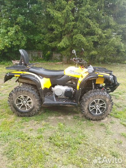 Снегоболотоход