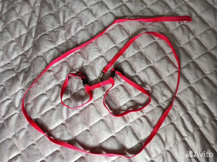 Поводок и шлейка для собаки