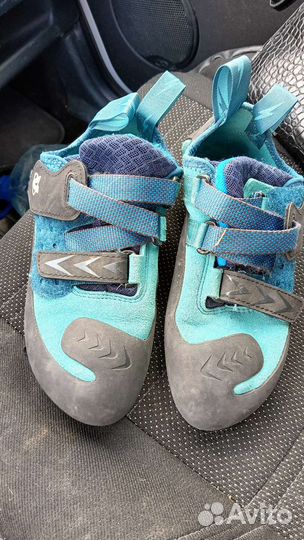 Скальные туфли elov