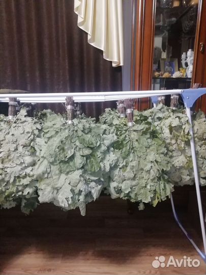 Веники дуб для бани