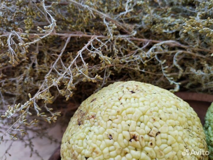 Мазь от болей и отеков