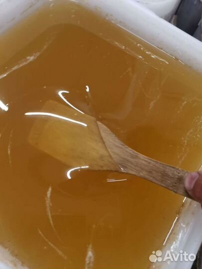 Мед оптом и в розницу урожай 2023