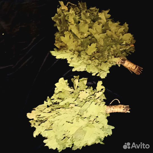 Дубовые веники для бани