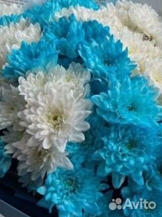 Букет из хризантем кустовых