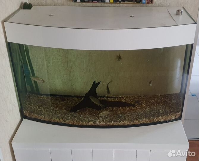 Панорамный Аквариум на 100л с тумбой