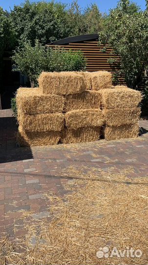 Сено в тюках