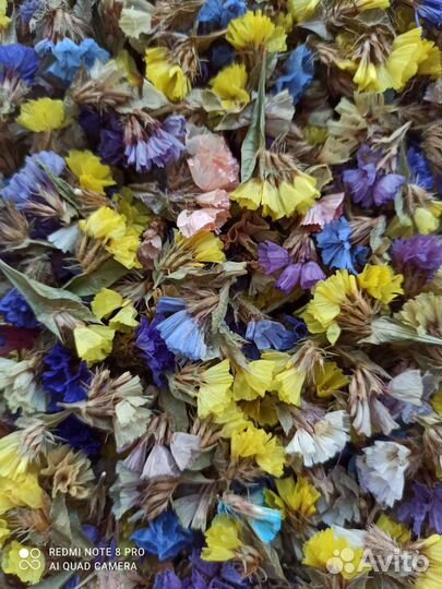 Сухоцветы для творчества