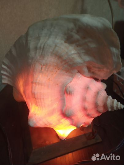 Ракушка -светильник