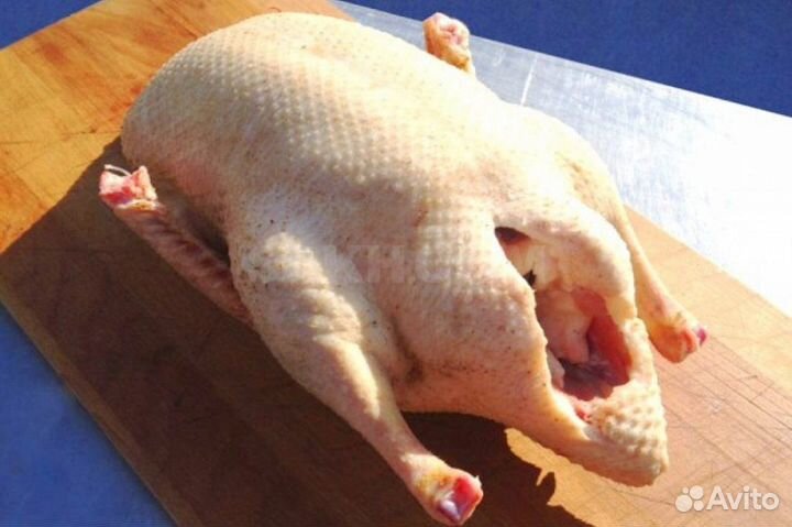 Тушка индоутки