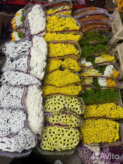 Для цветочного бизнеса оптом. Розы, упаковка, зеле