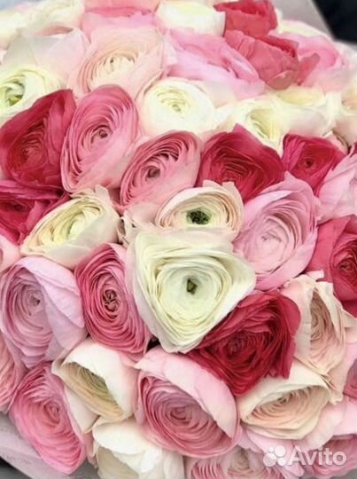 Цветы ранункулюс с доставкой