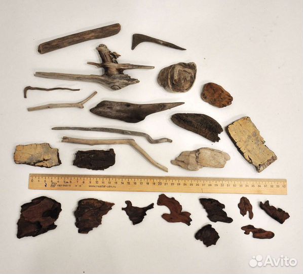 Наборы для творчества дрифтвуд, ракушки, устрицы