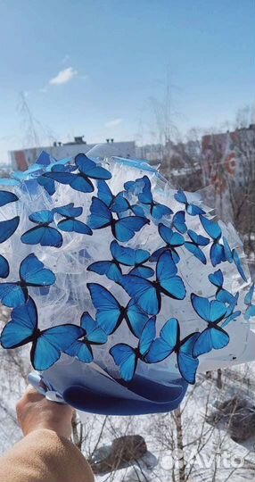 Букеты из бабочек
