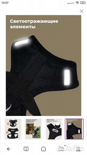 Шлейка и поводок для собак и кошек