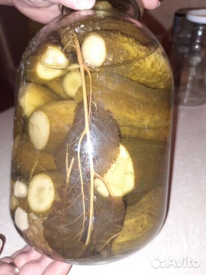 Огурцы и помидоры маринованные домашние