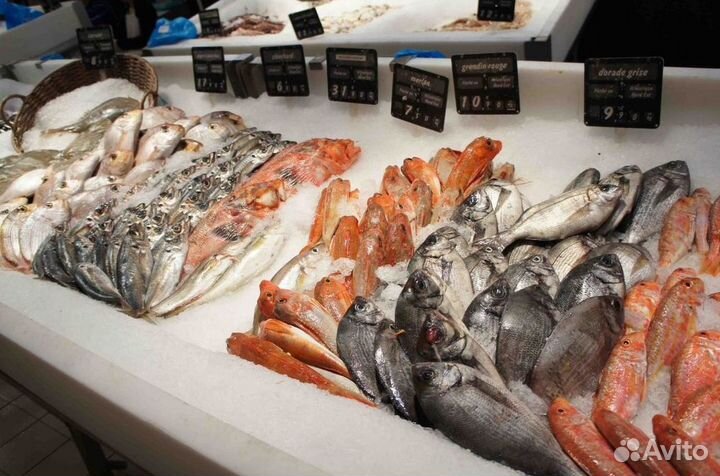 Прибыльный готовый бизнес – магазин рыбы