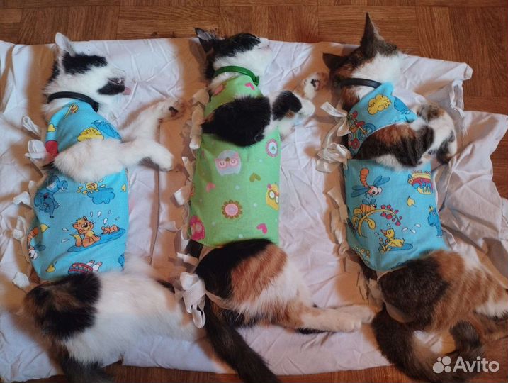 Ветеринарный врач на дом