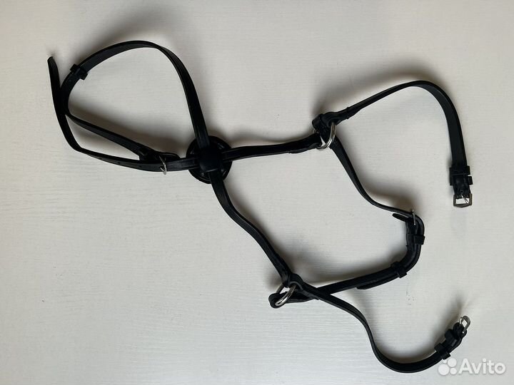 Мексиканский капсуль