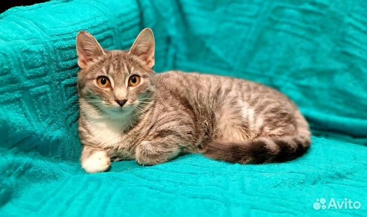 Море нежности