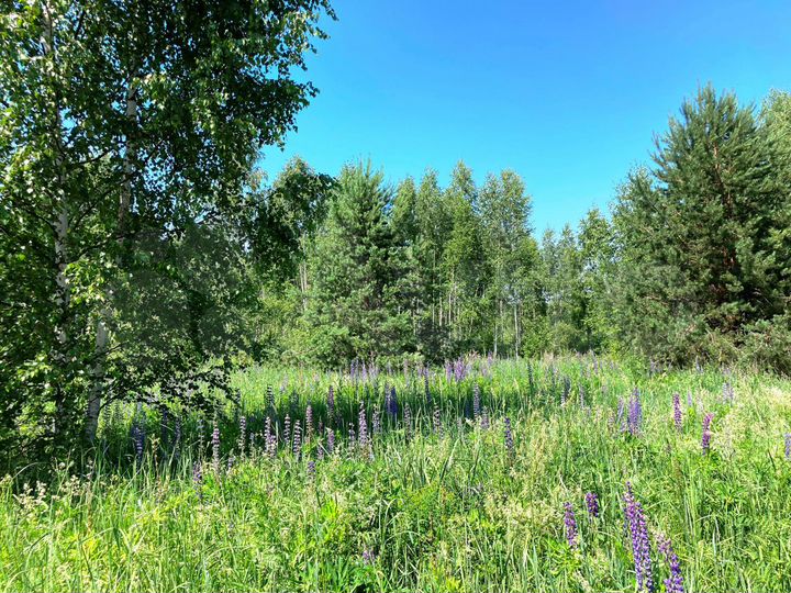 Участок 10 сот. (ИЖС)