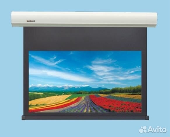 Экран моторизированный Lumien Master Business Cont