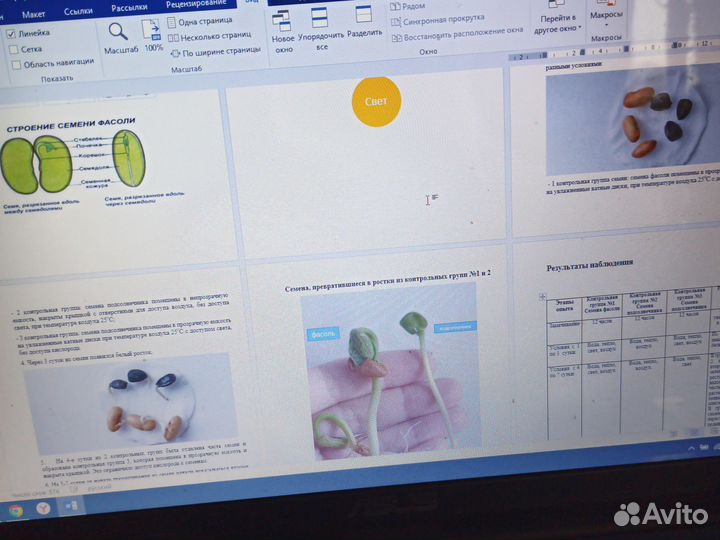 Проект школьный