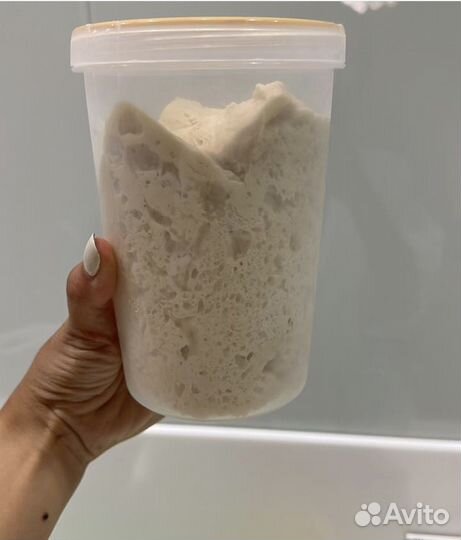 Закваска для хлеба