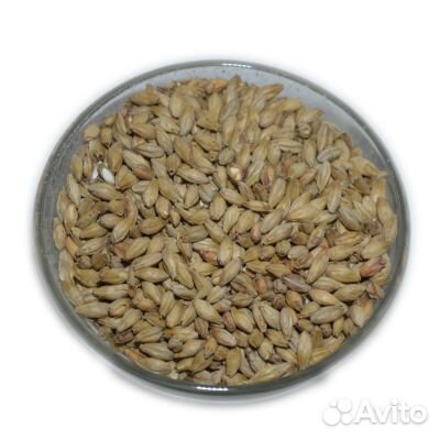 Солод Мюнхенский тип 2 (Финляндия)