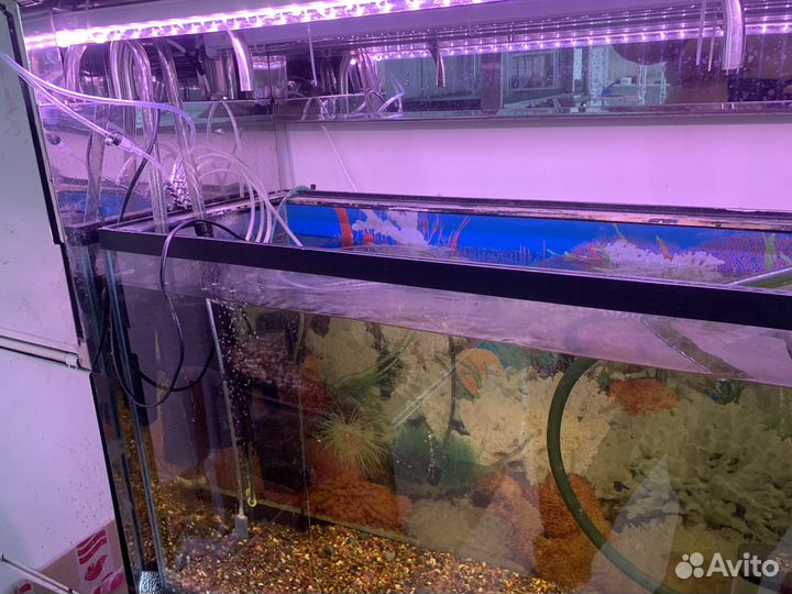 Аквариумные ферма из нержавейки