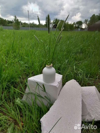 Ваза для сухоцветов