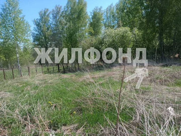 Участок 6 сот. (СНТ, ДНП)
