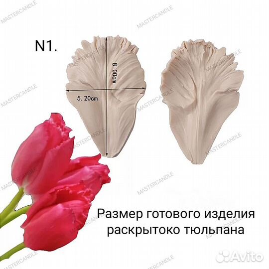 Вайнеры цветы тюльпана