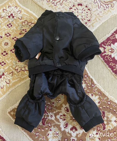 Продам комбинезон для собаки