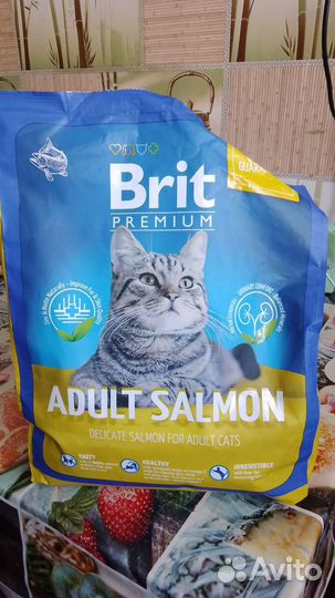 Корм для кошек