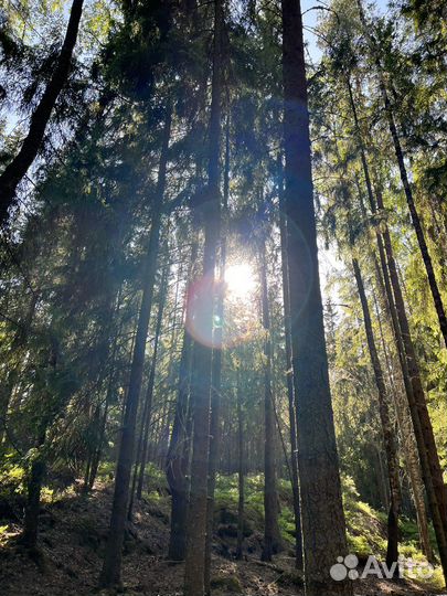 Access Bars /Аксесс Барс (энергетический сеанс)