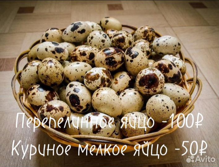 Яйцо домашнее