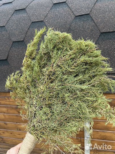 Можжевеловый веник премиум