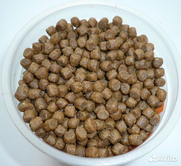 Корм - холистик для кошек и котят