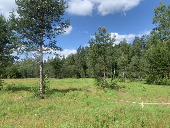 Участок 12 сот. (ИЖС)