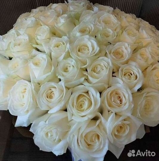 Высокие розы Гигантские розы с доставкой