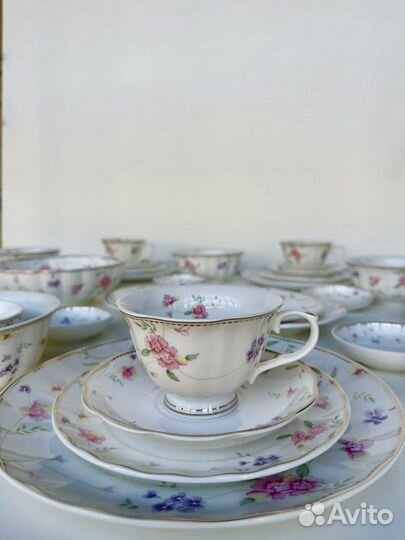 Сервиз Флориана (Вьюн) 6 перс. 45 предм.с розетк