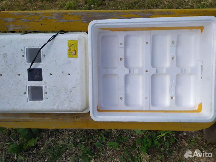 Инкубатор Несушка